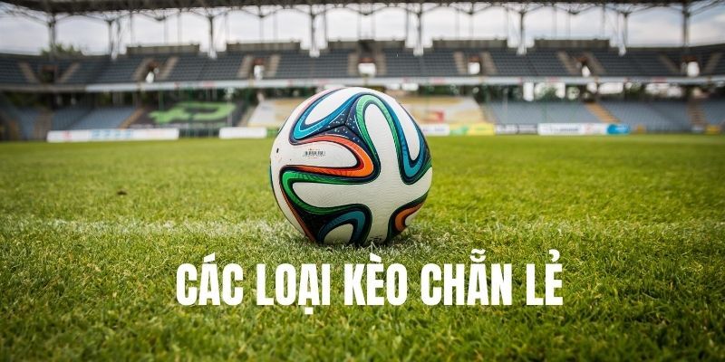 Các thể loại kèo chẵn lẻ hấp dẫn hiện nay