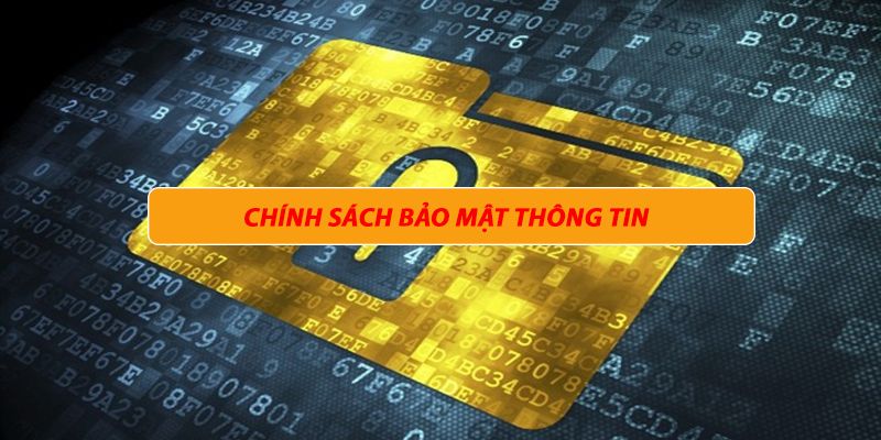 Nội dung thông tin từ hoạt động sử dụng dịch vụ 